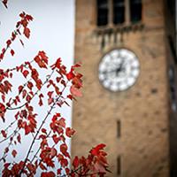 Clock Tower