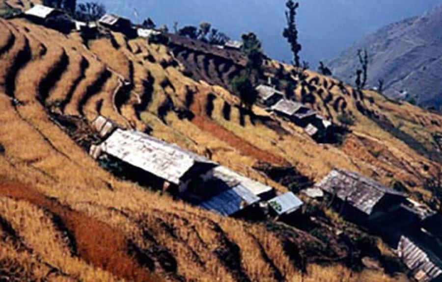 Terraces in Nepal