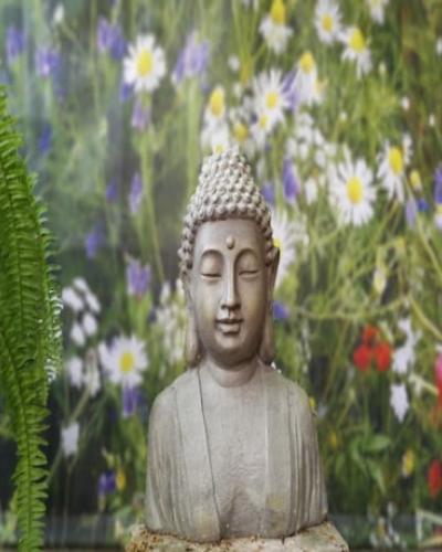 Statue of Buddah surrounded by a garden